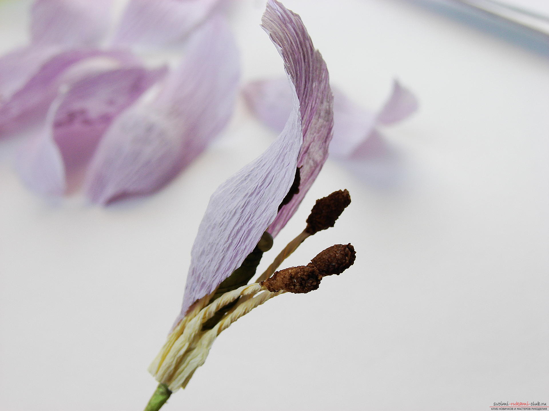 Мастер-класс научит как сделать гофрированные цветы своими руками – лилии из гофрированной бумаги.. Фото №28